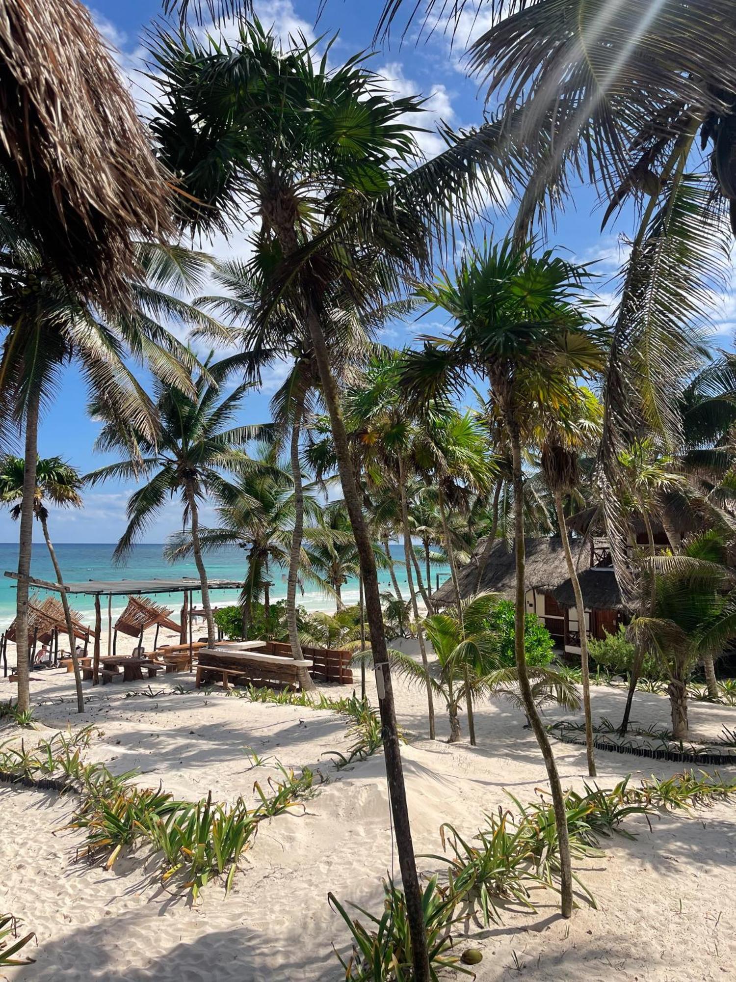 Hotel Bt Live Tulum Located At The Party Zone Zewnętrze zdjęcie